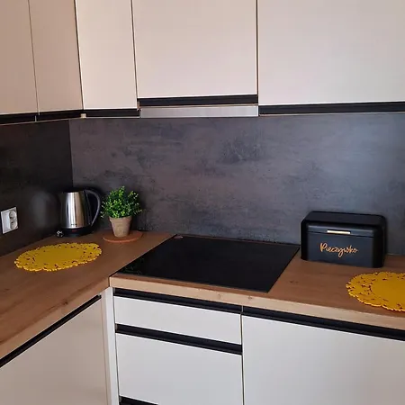 Apartament Blue Polana Szaflarska Nowy Targ Exterior photo