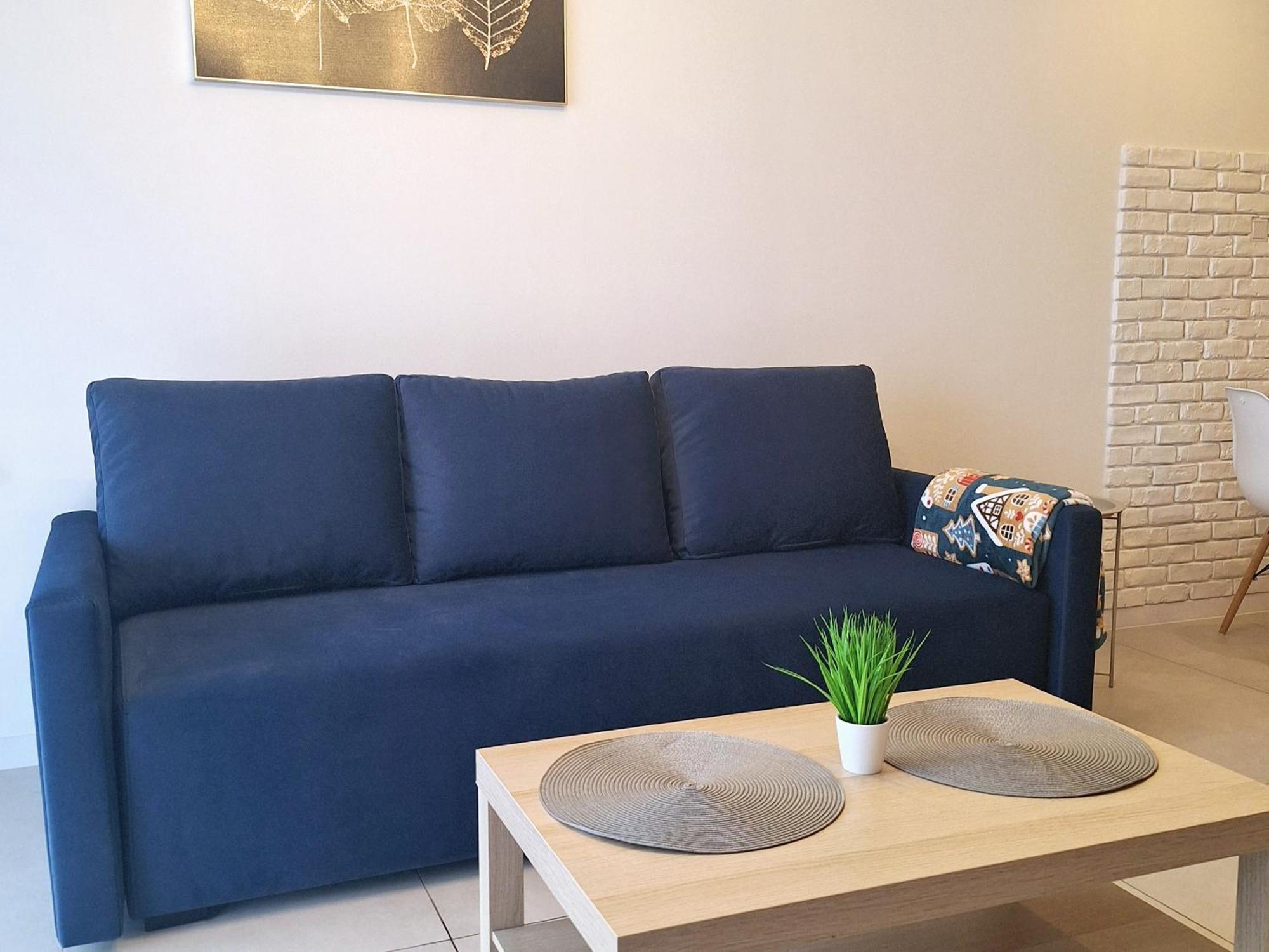 Apartment Blue Polana Szaflarska *